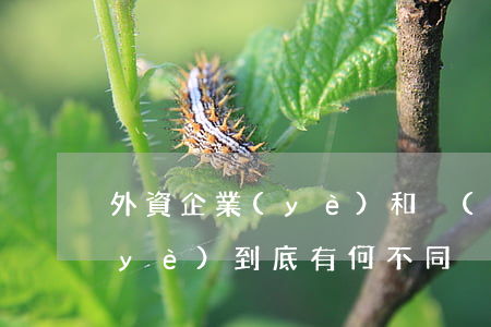 外資企業(yè)和內(nèi)資企業(yè)到底有何不同？